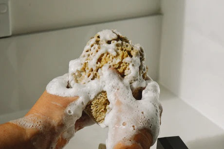 Sponge - Natural Sea Sponge RW