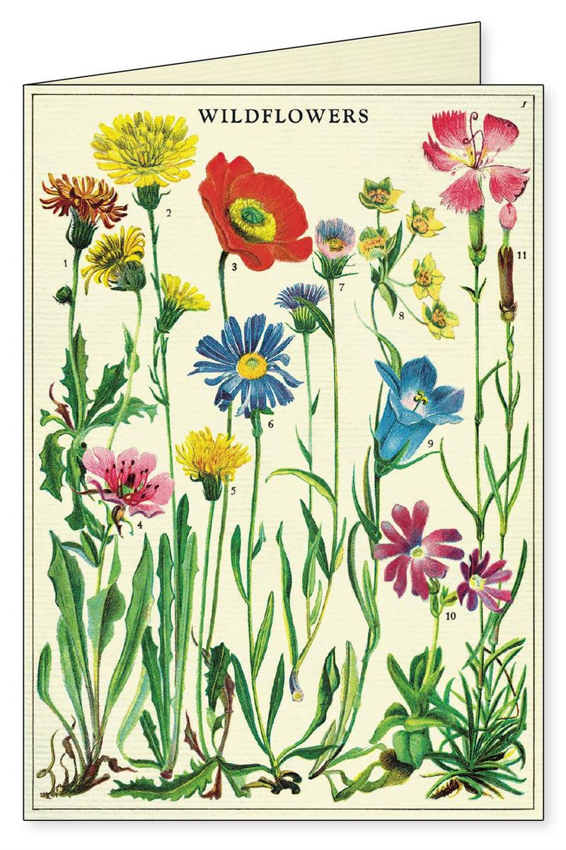 Wildflowers 8 pk Boxed Notecards