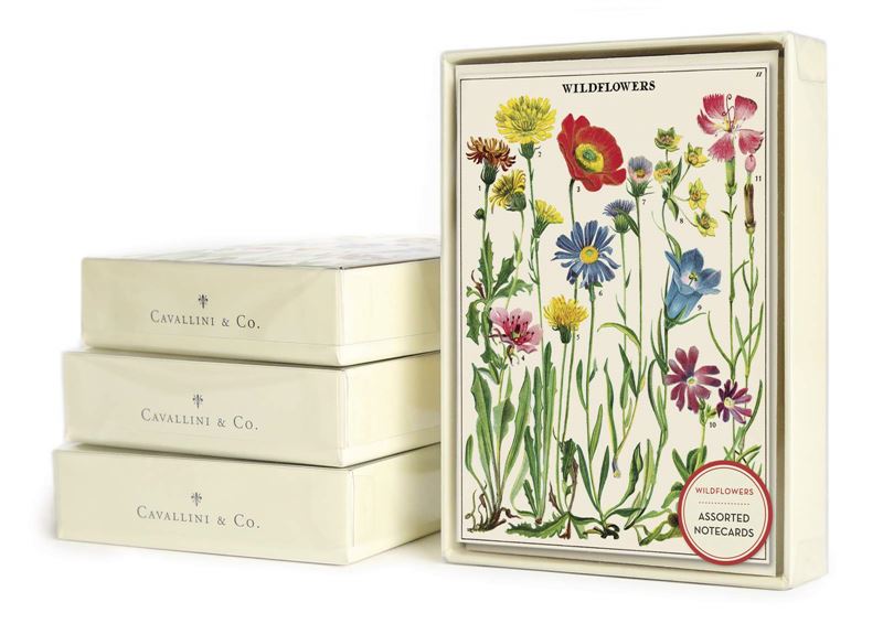 Wildflowers 8 pk Boxed Notecards