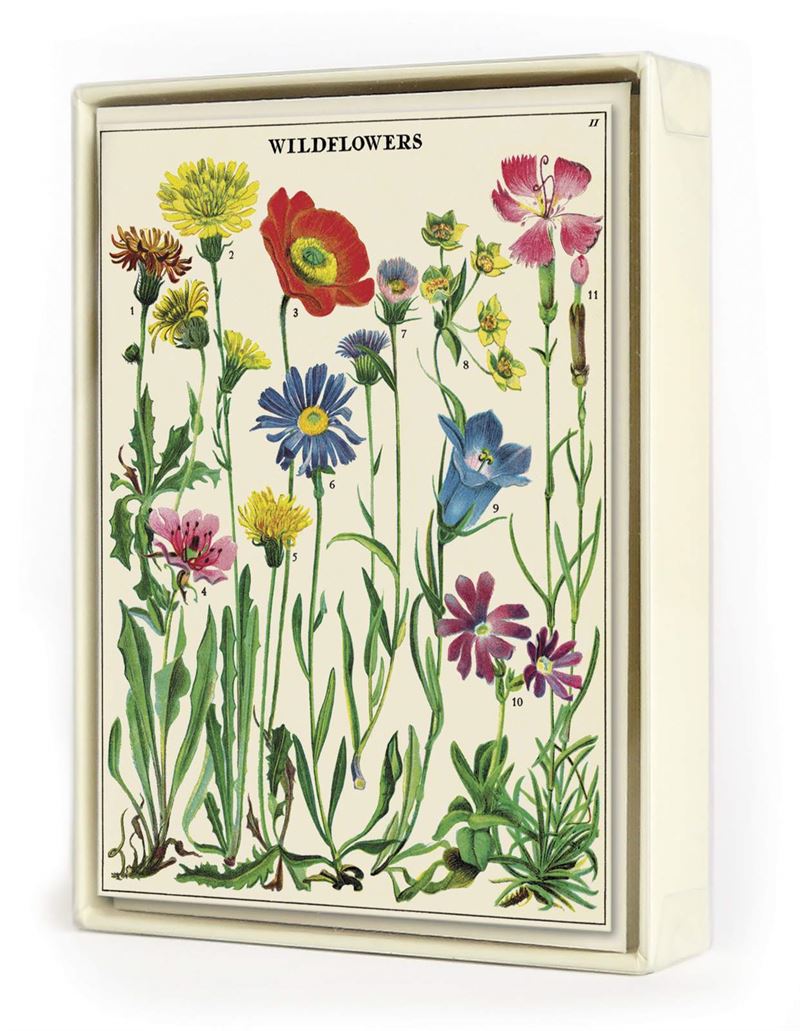 Wildflowers 8 pk Boxed Notecards