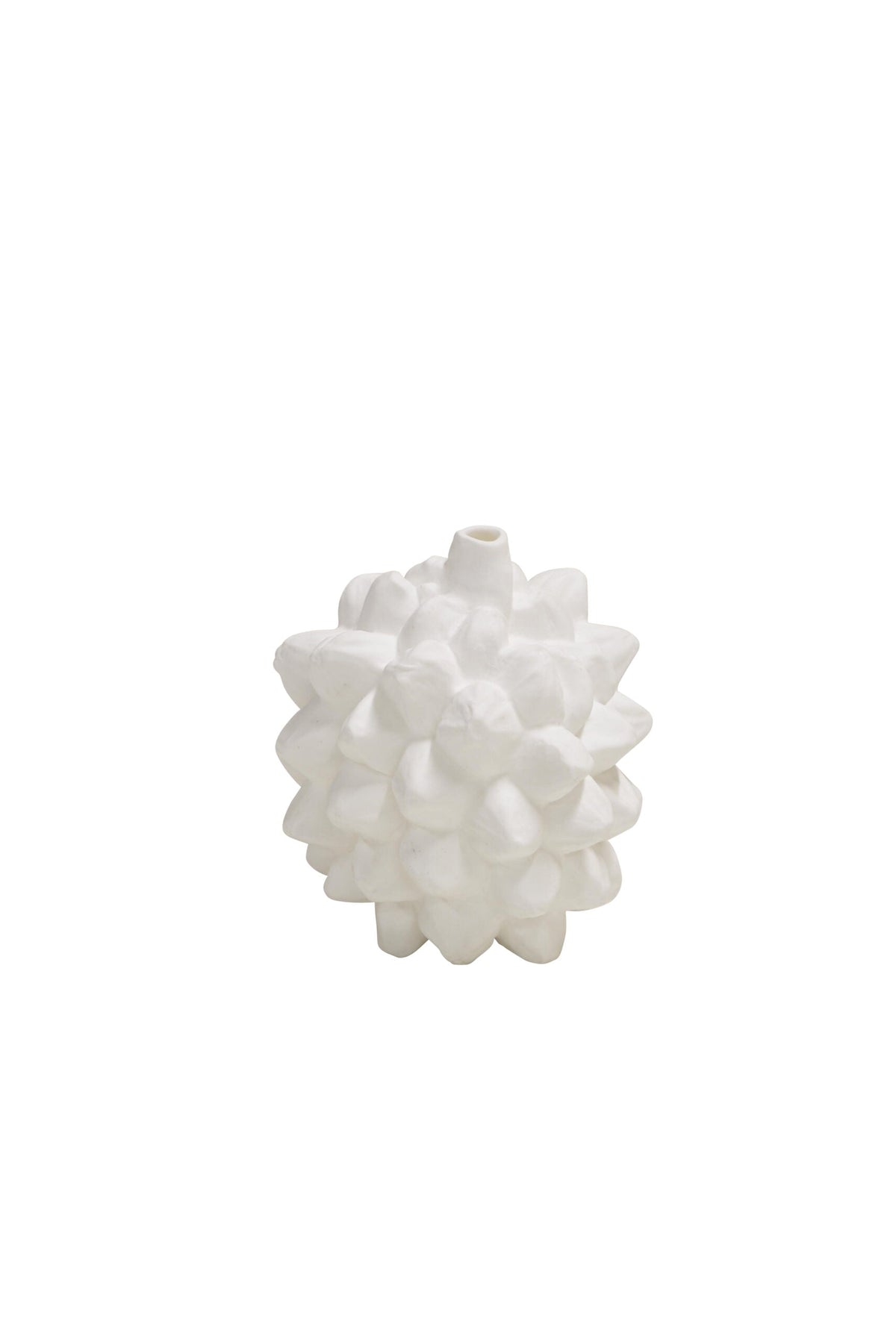 Vase Pandanus Fruit