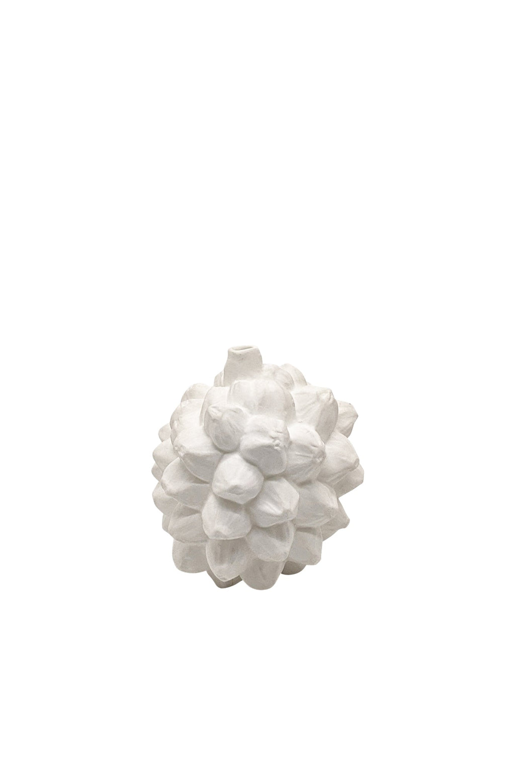 Vase Pandanus Fruit