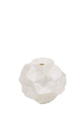 Vase Star Seedpod White