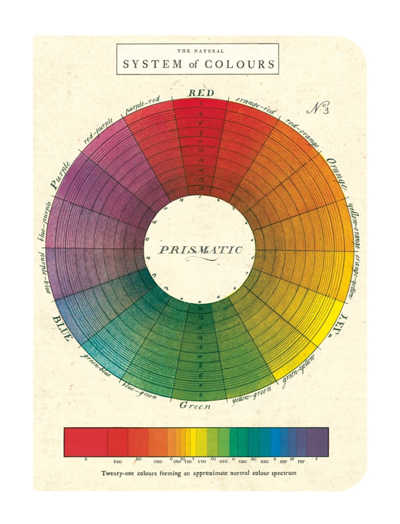 Cavallini & Co - Colour Wheel Set of 3 - Mini Notebooks