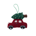 Car w Xmas tree