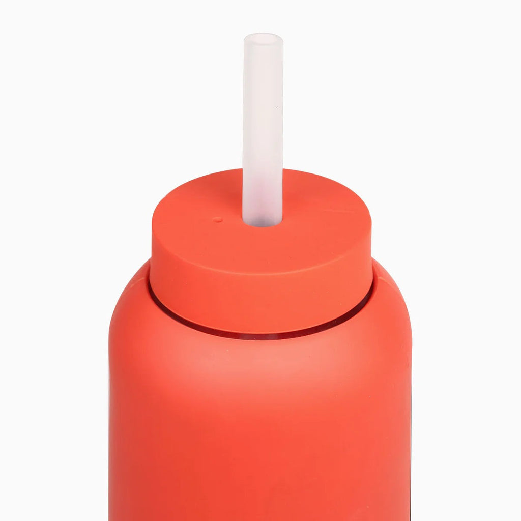 Bink Lounge Straw & Cap