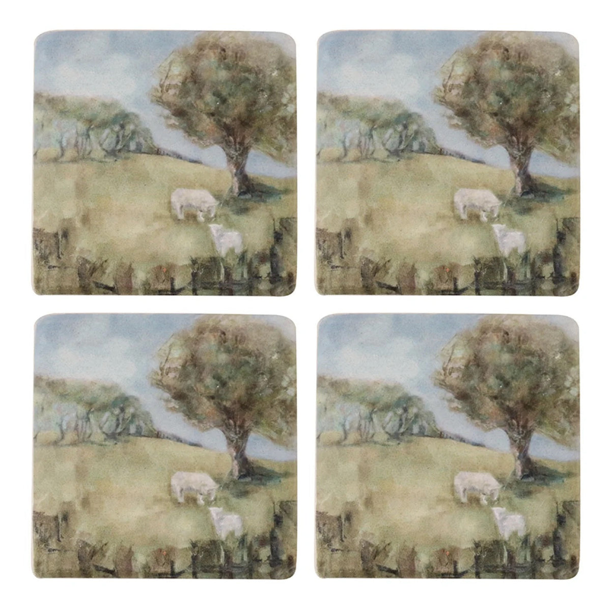 Coaster - Cornwall Park
