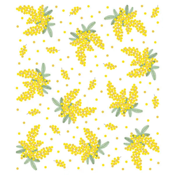 Nawrap Printed Dishcloth
