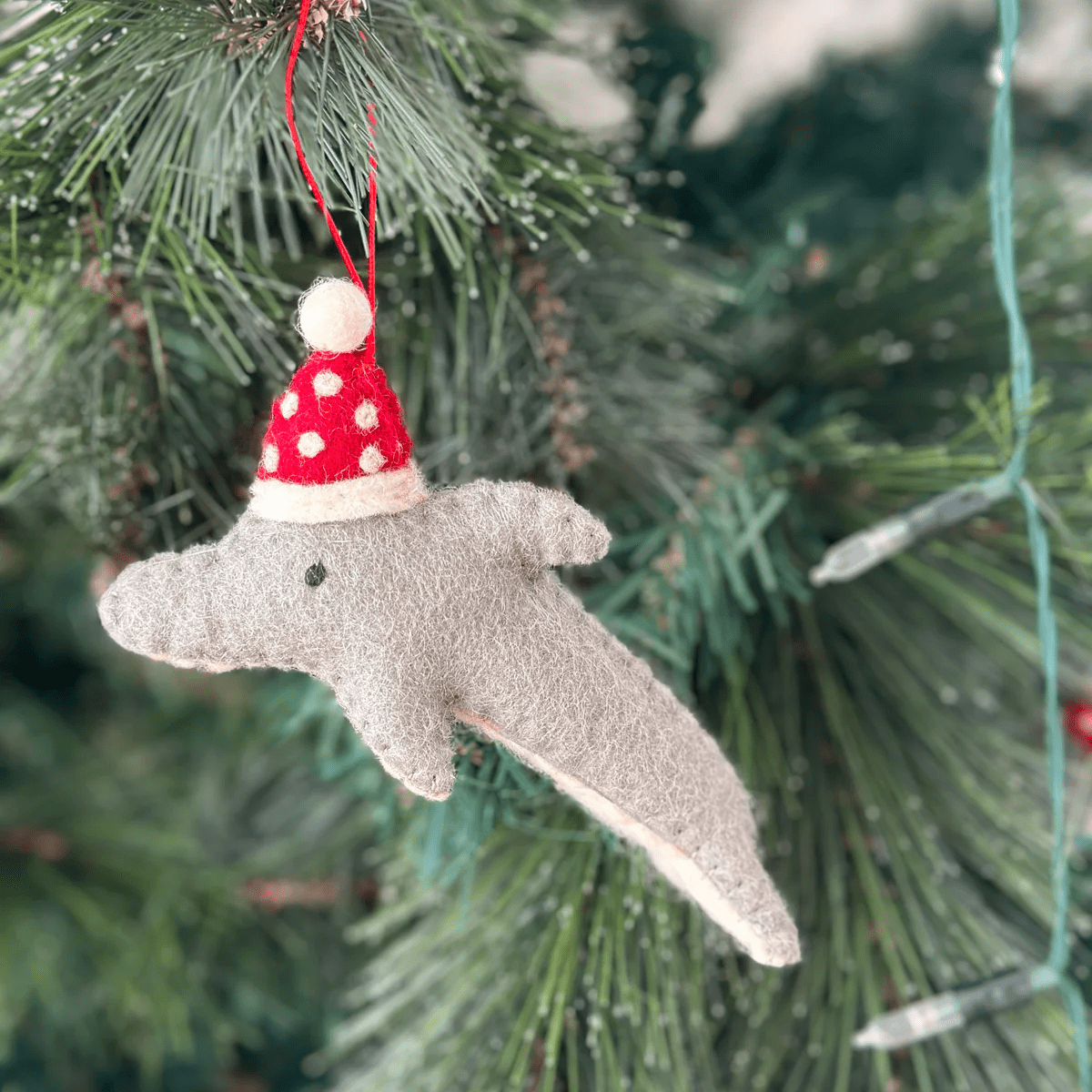 Dolphin w Hat