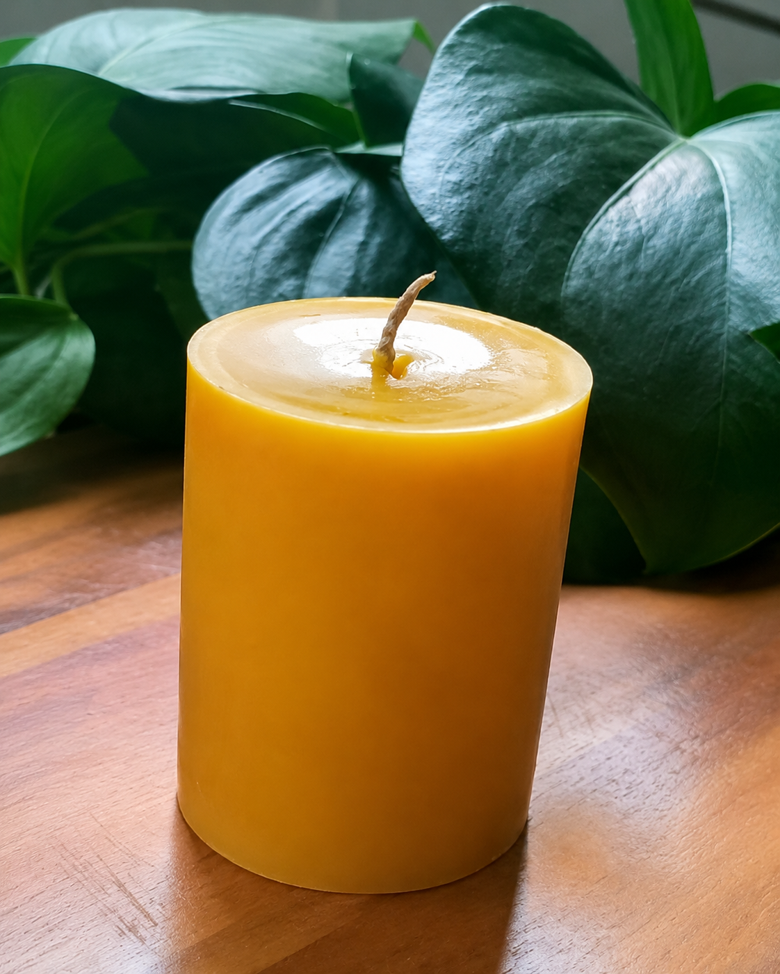 Medium Cylinder Beeswax Candle made of NZ Mānuka Beeswax