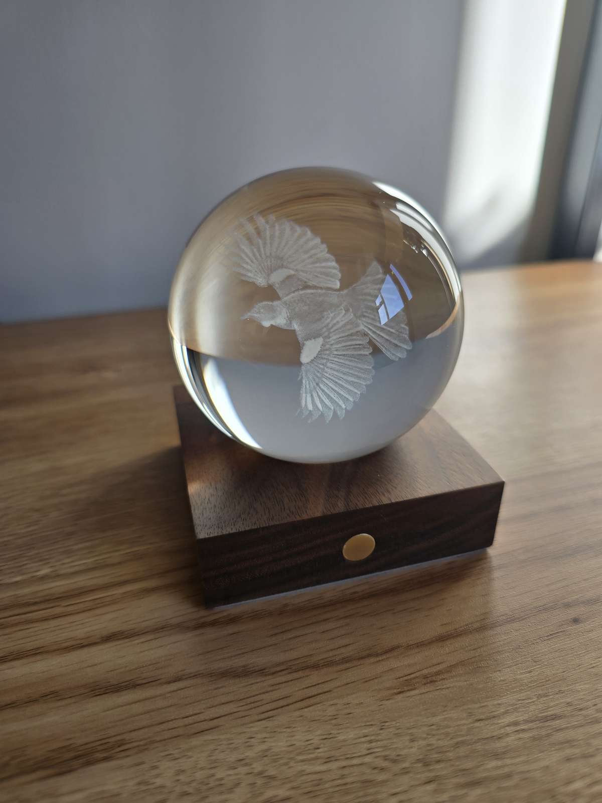 Tui 3D Laser Engraved Light - Walnut