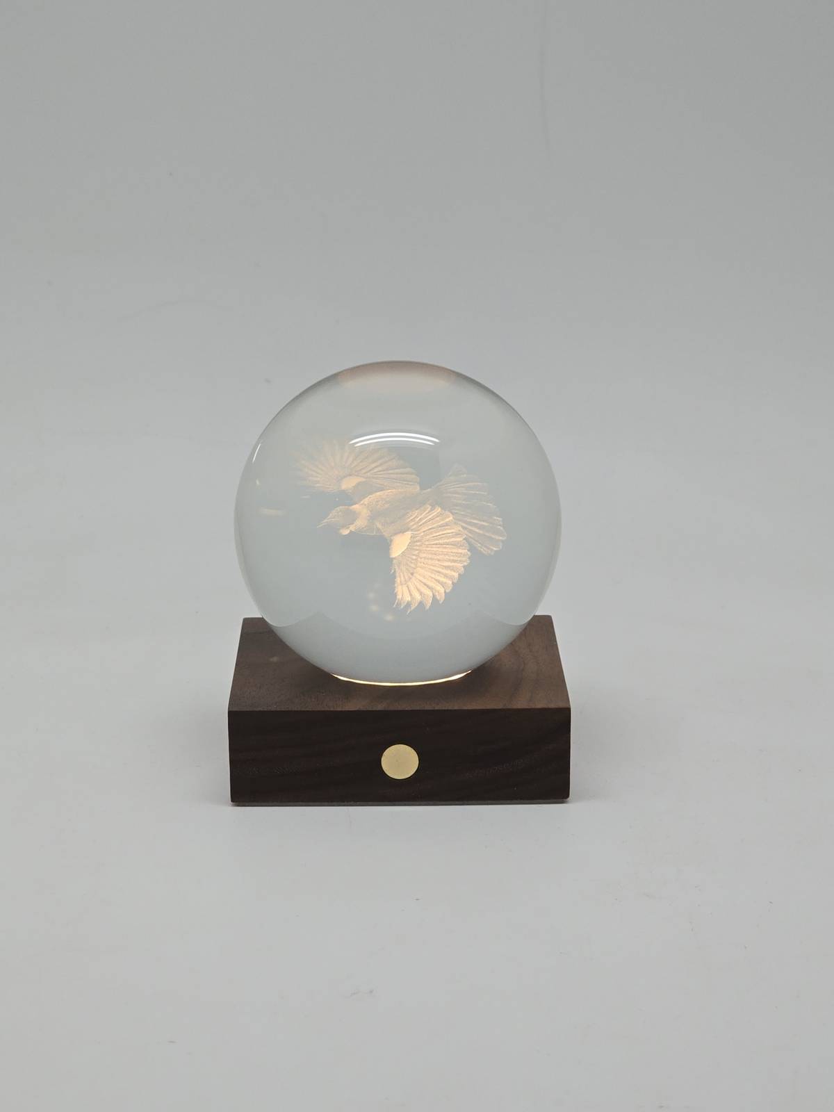 Tui 3D Laser Engraved Light - Walnut