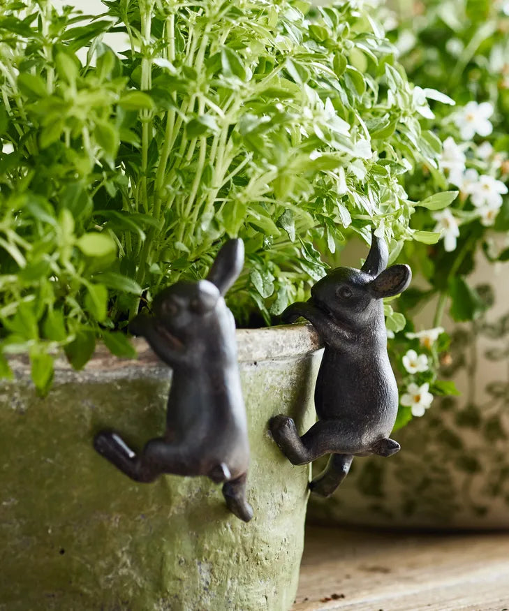 Hanging Bunny Decor