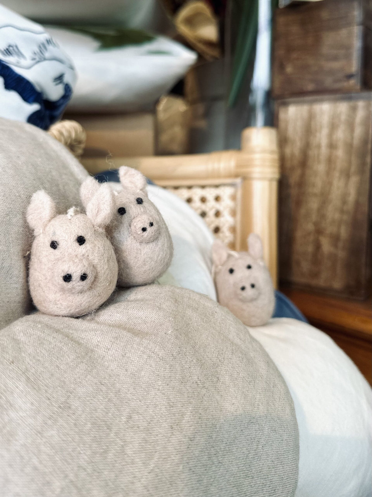 Lucky Pig