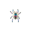Brooch Tarantula