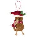 Kiwi bird w holly
