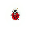 Brooch Lady Bird Beetle