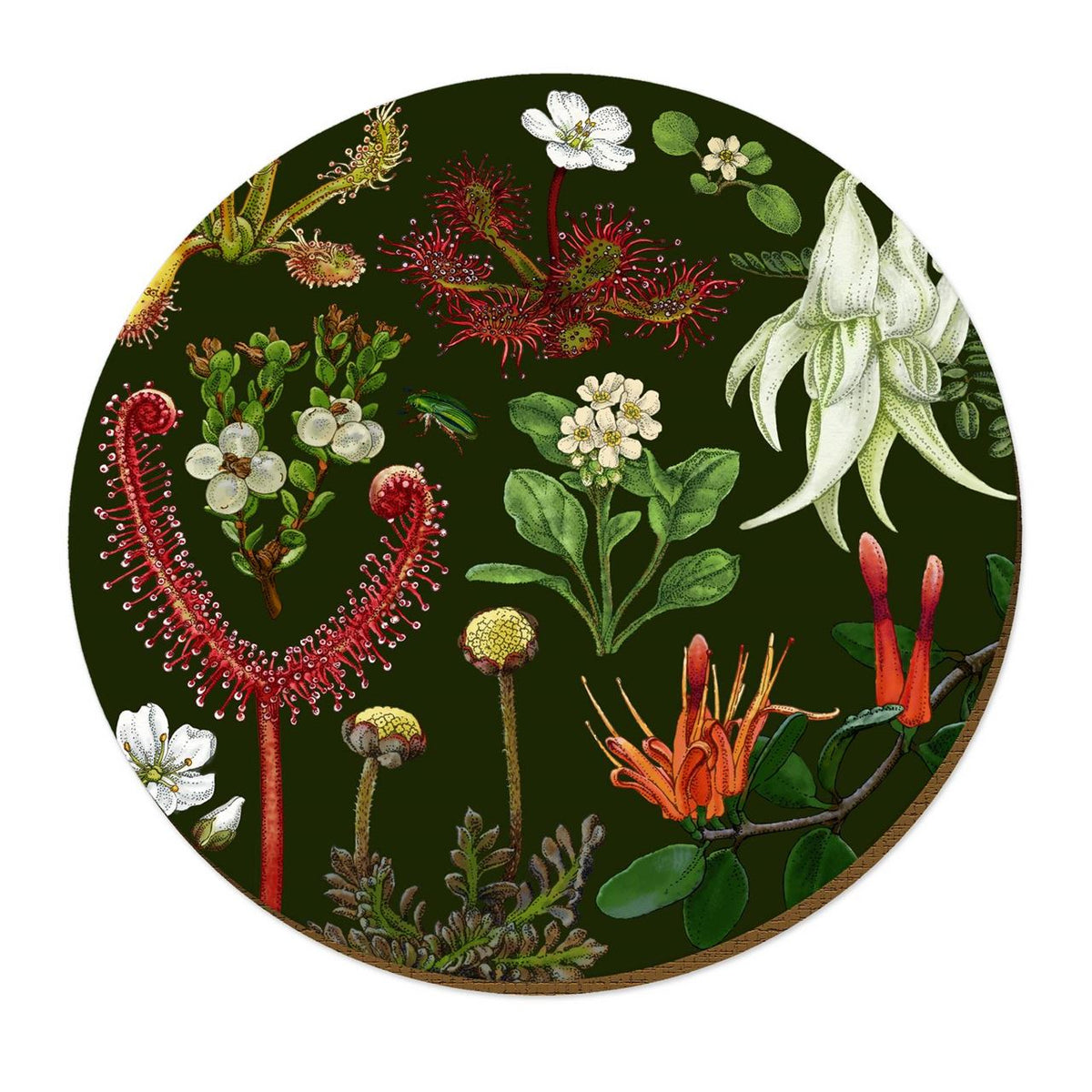 Placemat T Wolfkamp