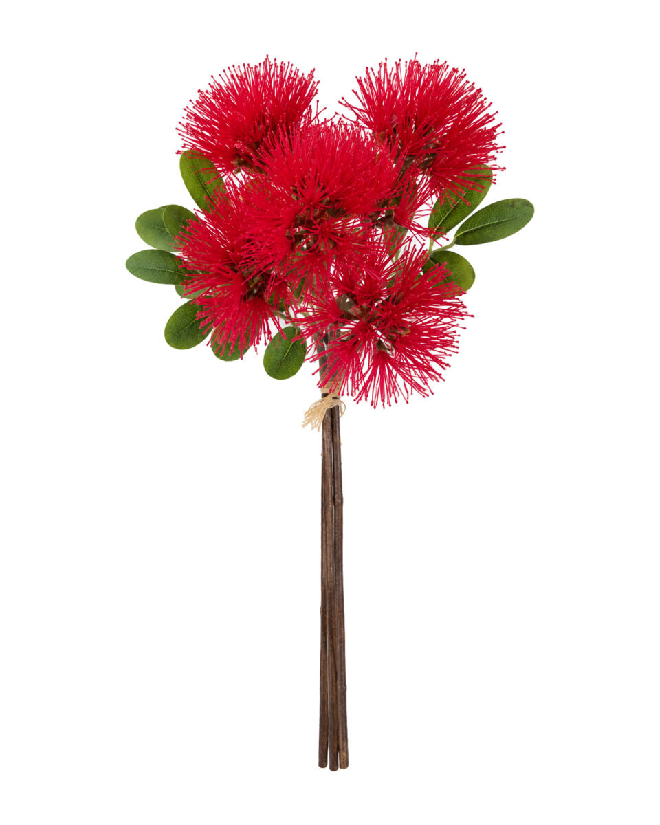 Pohutukawa Bundle-Red