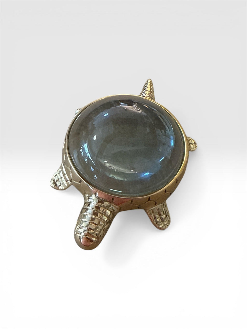 Turtle Magnifying Glass
