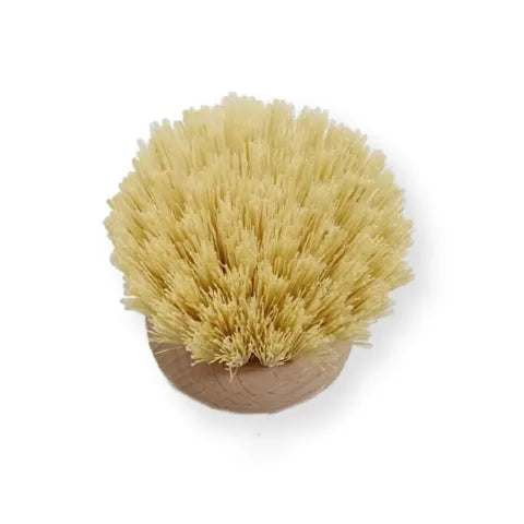 Replacement Brush Head - ST Tampico Dish Brush