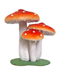 Toadstool Cluster