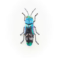 Brooch Ulkei Beetle