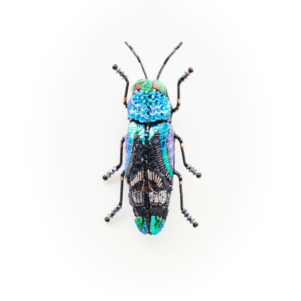 Brooch Ulkei Beetle