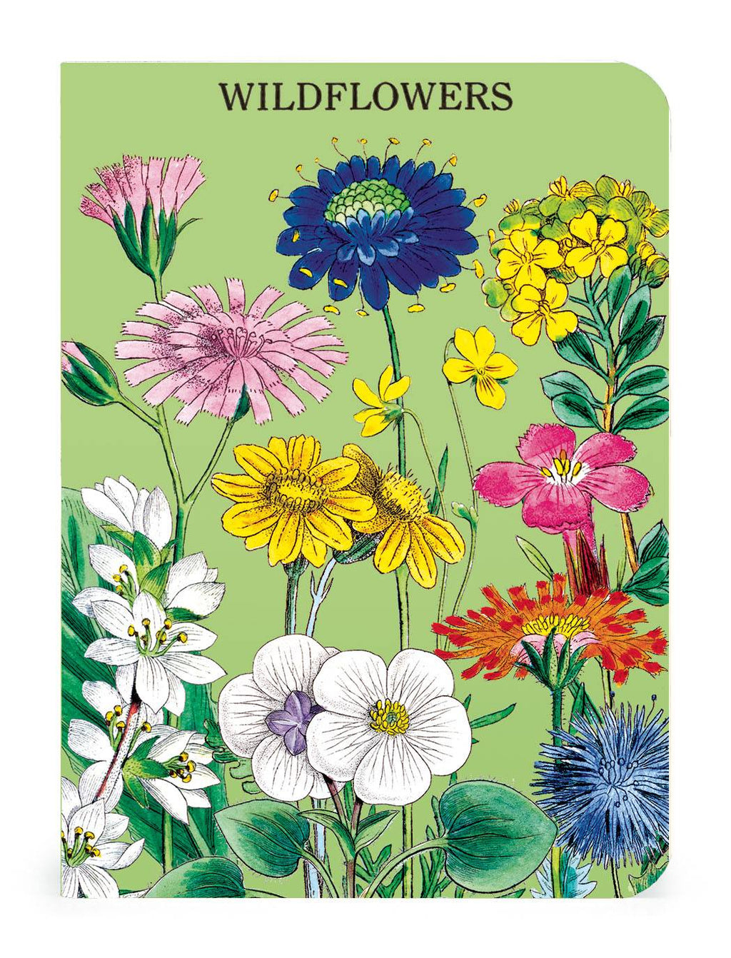 Wildflowers 2 Set of 3 - Mini Notebooks