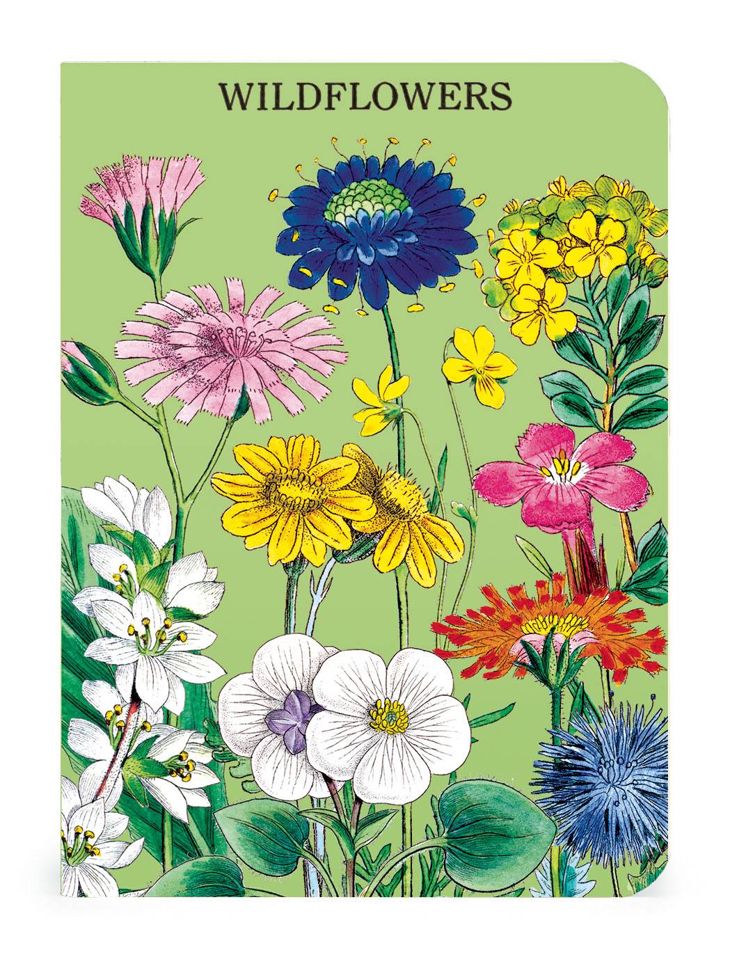 Wildflowers 2 Set of 3 - Mini Notebooks