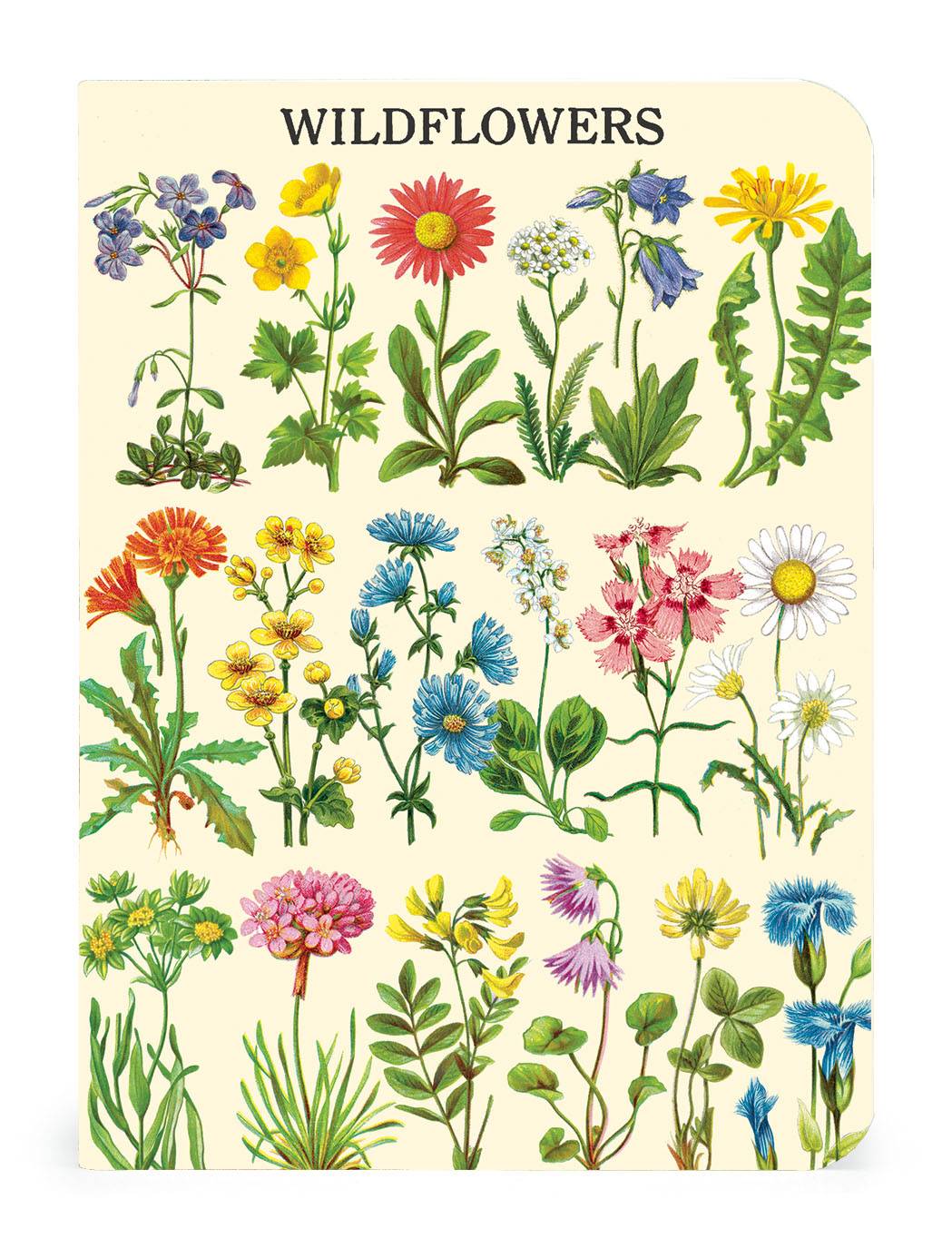 Wildflowers 2 Set of 3 - Mini Notebooks