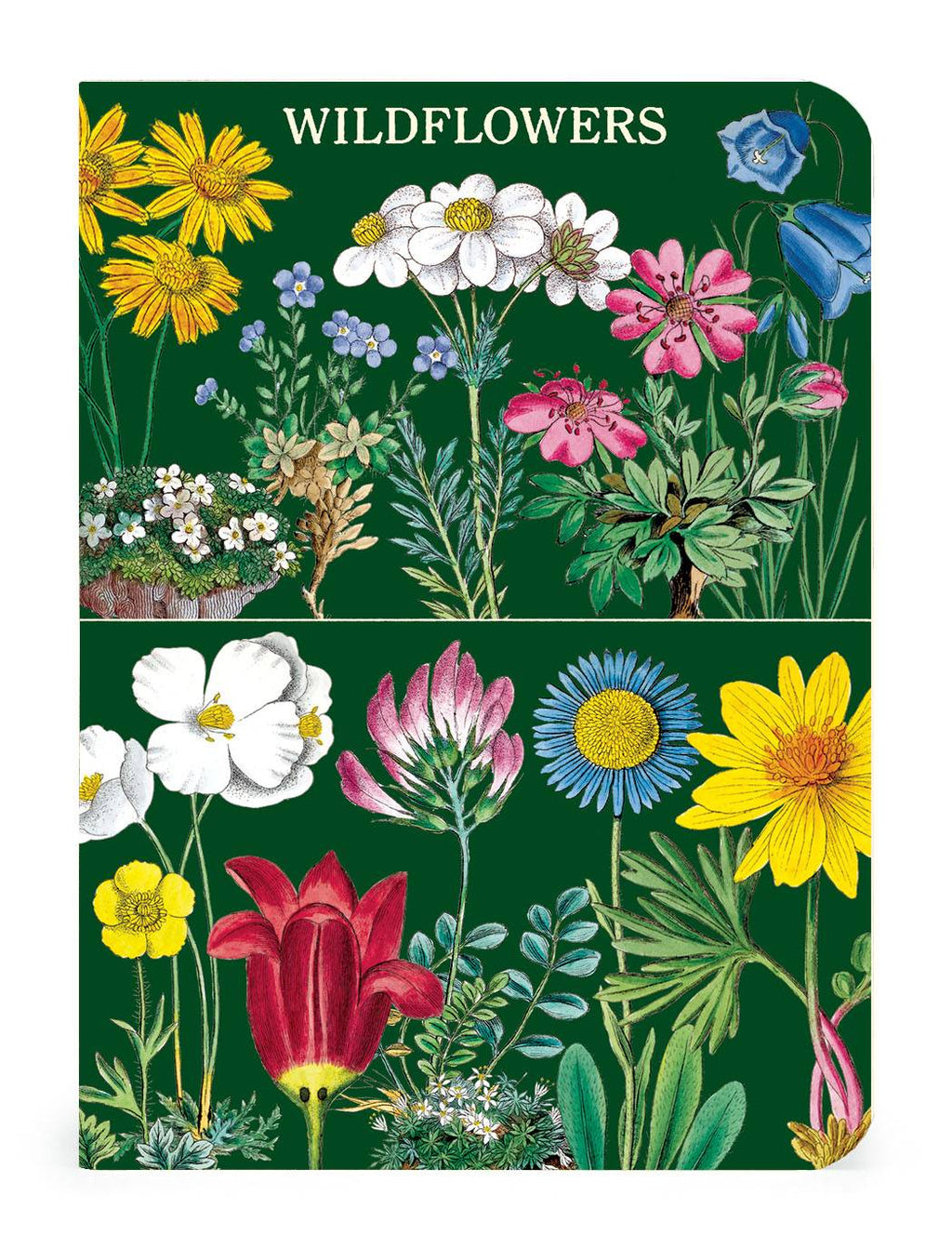 Wildflowers 2 Set of 3 - Mini Notebooks
