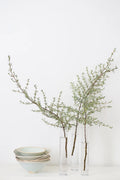 Vase - Glass Tall Bud