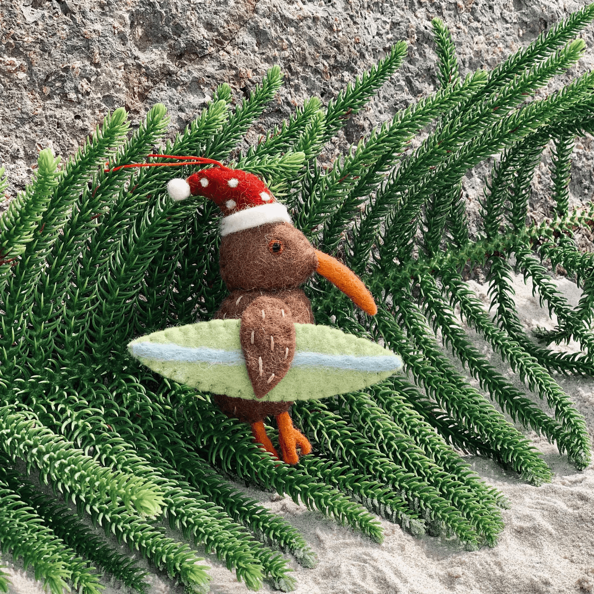 Kiwi w surfboard
